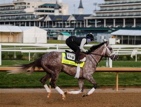 horses to bet on for kentucky derby